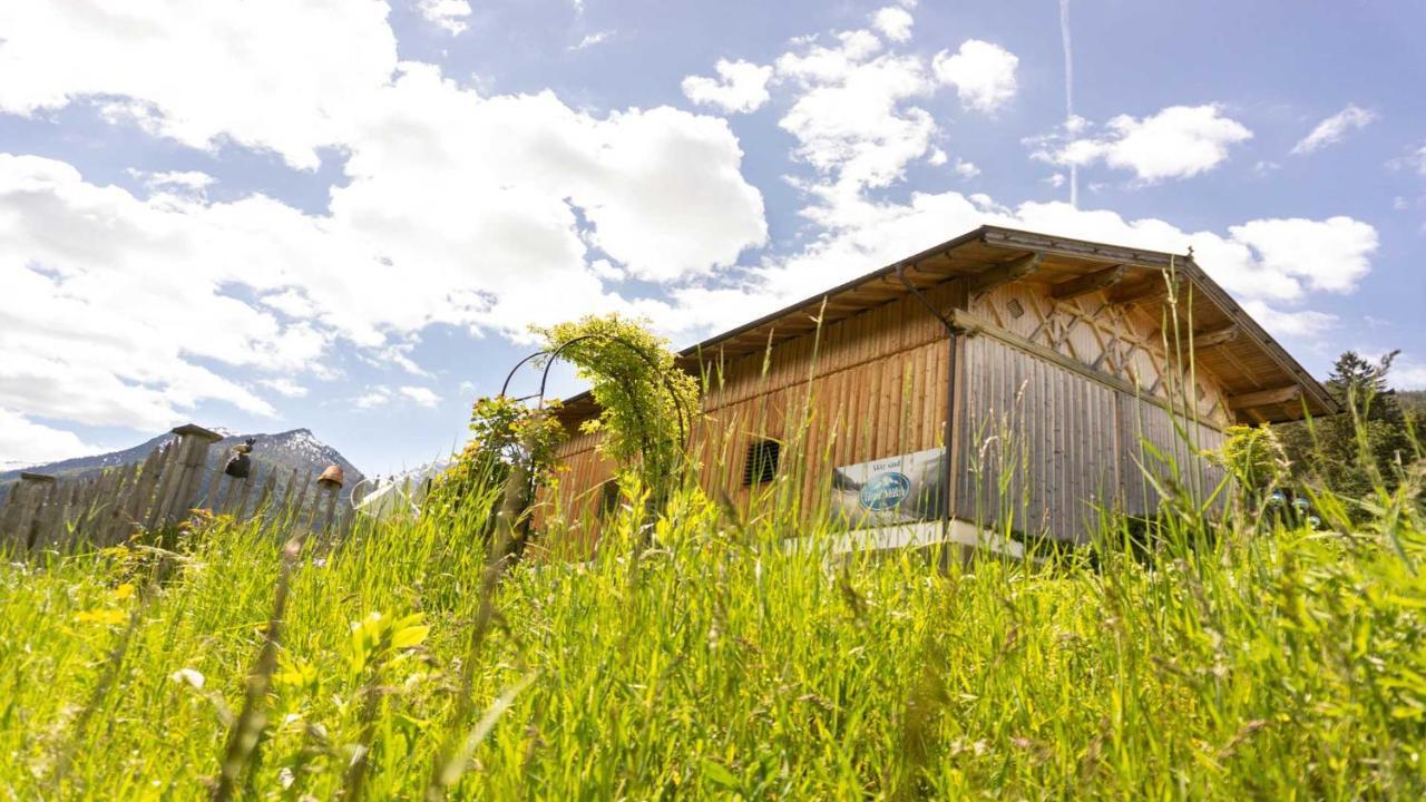 Stubaier Bauern Appartement Telfes im Stubai Dış mekan fotoğraf